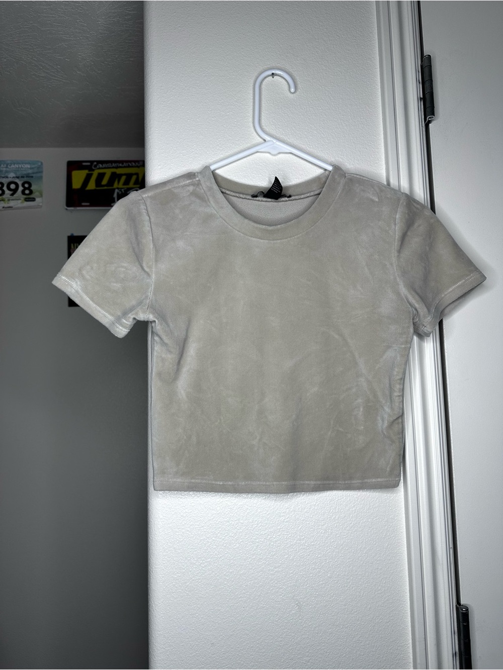 Forever 21 Taupe Velvet Crop Tee